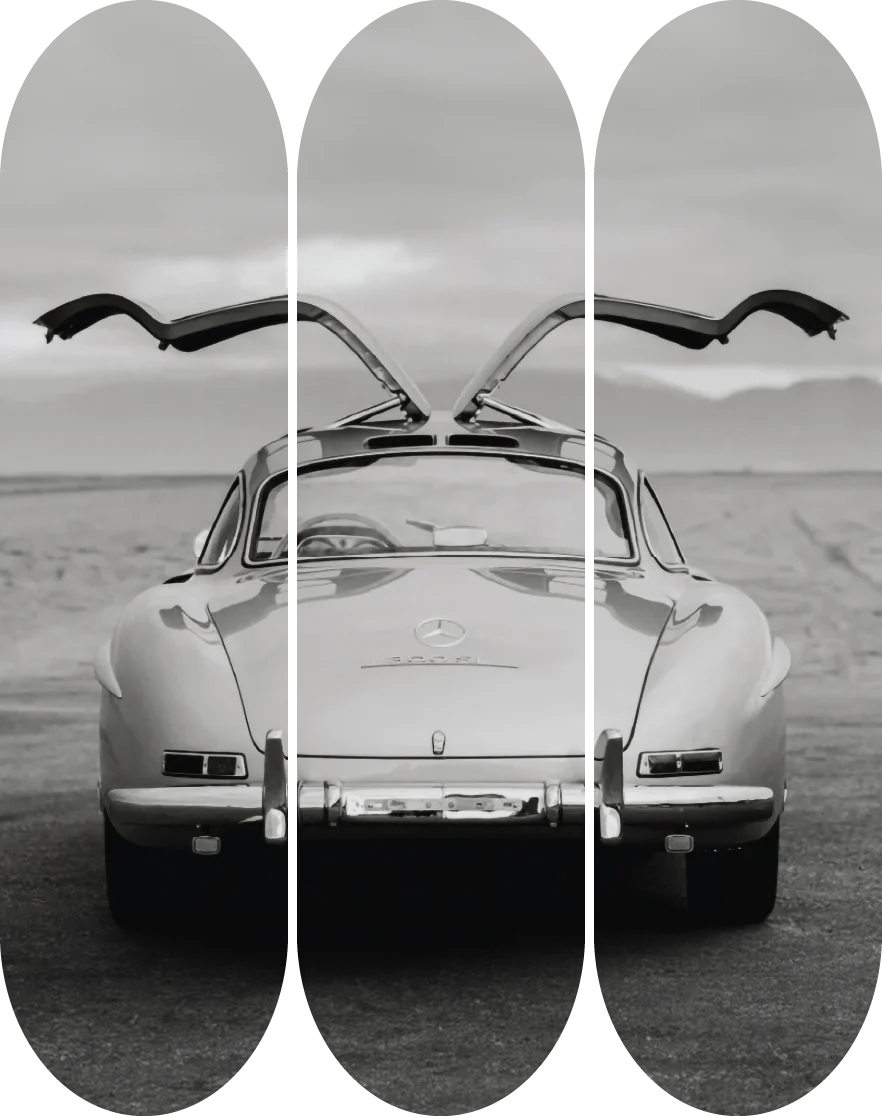 GULLWING 1955